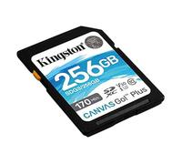Kingston 256GB SDXC Canvas Go Plus 170MB/s Read UHS-I, C10, U3, V30 Memory Card (SDG3/256GBcr)
