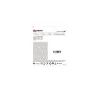 Kingston Technology DataTraveler 256GB Kyson USB Flash Drive