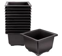 KINJOEK 15 PCS 5.1 Inch Plant Pot, Square Plastic Bonsai Training Pots, Flower Succulent Pots Container for Garden, Indoor, Home Decorative