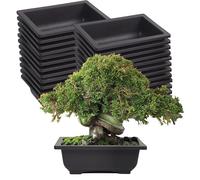 KINJOEK 25 PCS 6 Inch Plant Pot, Rectangular Plastic Bonsai Training Pots, Flower Succulent Pots Container for Garden, Indoor, Home Decorative