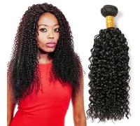 Kinky Curly Human Hair Bundles Long Brazilian Virgin Hair Bundles Curly Weave Bundles Human Hair Natural Black Color Can be Dyed Double Weft 1 Curly Bundle 100g 20 Inch