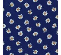 Kinoko Teikoku - Long Good Bye [Japan CD] UKDZ-150