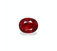 KINSHU GEMS - Burma Ruby Stone 12.25" Ratti Lab Certified Untreated Natural Unheated Mannequin Stone Manikya Ruby Stone for Women Men Natural Manac, Natural Lab Certified Ruby Stone Manak, Ruby