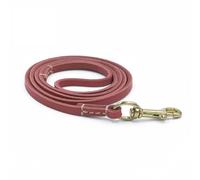 KINSPON 150/200cm Dog Genuine Traction Rope Flexible Dog Rabbits Cat Traction Rope Leash with Alloy Buckle for Walking Supplies