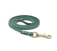 KINSPON 150/200cm Dog Genuine Traction Rope Flexible Dog Rabbits Cat Traction Rope Leash with Alloy Buckle for Walking Supplies