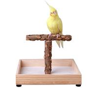 Kintor Natural Wood Stand for Small and Medium Parrots - Cockatiel, Grey Parrot - Bird Perch - 100% Natural Hardwood