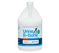 KINZUA ENVIRONMENTAL Urine B-Gone, Professional Enzyme Odor Eliminator & Pet Stain Remover, Human, Cat & Dog Urine Cleaner, Effective on Laundry, Carpets & More (3.79Liter (Pack of 1), Citrus)