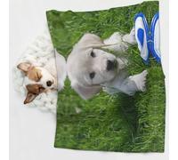 KIPOSTYZTT 1 Pcs Waterproof Pet Blanket, Bichon Frise Dog Print Blanket For Bed Couch Protector, Reversible Washable Plush Dog Faux Fur Throw For Puppy