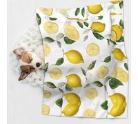 KIPOSTYZTT 1 Pcs Waterproof Pet Blanket, Fresh Tropical Lemons Print Blanket For Bed Couch Protector, Reversible Washable Plush Dog Faux Fur Throw For Puppy