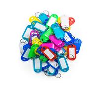 KIPPEN 1200A Pack of 50 Plastic Key Tags with Ring and Label, Assorted