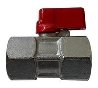 Kippen 5004A1 - Mini Brass Ball Valve, 1/2" F/F Connection