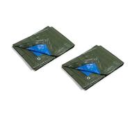 kippen Pack of 2 tarpaulins with Eyelets, Two-Colour, Size 2 x 3 m, Weight: 90 g/m², Polyethylene (PE), Green, Blue, Taglia 2x3 Mt