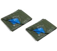 kippen Pack of 2 Pieces of Two-Tone Eyelet Tarpaulin Size 2 x 3 m. Weight: 90 g/m², Polyethylene (PE), Taglia 2x3 Mt