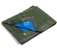 Kippen Two-Tone Eyelet Tarpaulin with 90 g/m² Weight. Size (20m²), High Density Polyethylene (HDPE), Green/Blue, Taglia 4x5 (20 m²)