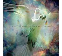 Kira Make Your Mind Explode a Blossom Tree (CD) Album (US IMPORT)