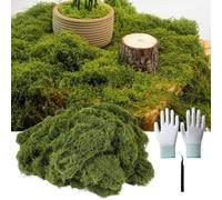 KiraKira Realistic Artificial Moss Carpet 3 Pieces, for Soft Polyester Faux Grass Miniature Gardens, Plant Pot Decor Includes Tweezers and Gloves