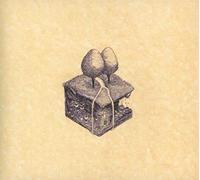 KIRAN LEONARD - WESTERN CULTURE