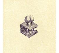 KIRAN LEONARD - WESTERN CULTURE [VINYL]