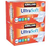 KIRKLAND Signature Fabric Softener Sheets Ultrasoft Fresh Scent, 250 Count (Pack of 2)