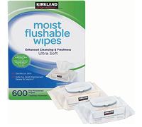 Kirkland Signature Moist Flushable Wipes 10 x 60 Pre-moistened Wipes for the Entire Family