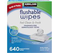 Kirkland Signature Premoistened Flushable Wipes, Fragrance Free, 640 - Count