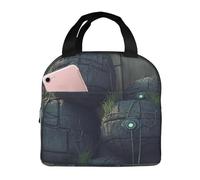 KIRROWE Stones on the wall Lunch Bag for Women & Men, Durable Oxford Fabric & Thick Foil, Perfect for Workand Outdoor Activities