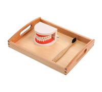 Kisangel 1 Set Wooden Educational for Fun Tooth Brushing Playset to Teach Oral Hygiene Enhance Parent Interaction Develop Skills for Early Learning Random Color