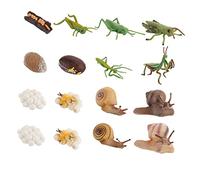 Kisangel 16Pcs Animal Growth Model Educational for Interactive Science Cognition Tool Random Colors Enhance Parent Interaction and Imagination Development Random Color