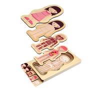 Kisangel 1pc Body Constitution Wooden Puzzle Educational Jigsaw for Years Promotes Hand Eye Coordination Structure Understanding Safe and Design