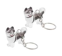 Kisangel 2pcs Dog Hair Keepsake Box Keychain Transparent Pet Hair Memorial Pendant for Car Keys Backpacks Bags Compact Stylish Container to Honor and Preserve Pet Memories