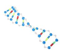 Kisangel 2pcs Double Helix Dna Model Kit Educational Biology Teaching Aids Self Assembling Gene Structure Tool for Students Science Learning and Classroom Display