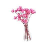 Kisangel 2pcs Miniature Dollhouse Plant Pink Glass Vases with Dried Flower Bouquets Compact Mini Potted Flowers for Doll House Accessories Craft DIY Decoration for Small Spaces and