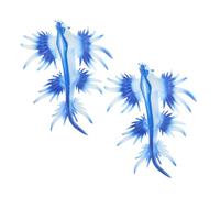 Kisangel 2pcs Plastic Sea Slug Figurines Realistic Animal Models Ocean Creature Decor Educational Biology for Desktop Decoration