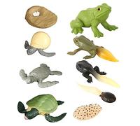 Kisangel 2sets Turtle Frog Growth Stage Models Detailed Simulated Animal Artwork Educational Toys for Boys and Girls