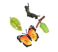 Kisangel 3 Sets Realistic Butterfly Growth Cycle Model for Educational Cognitive Figures Lightweight and Portable Insect Evolution Display for Preschool Learning and Nature Exploration