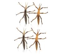 Kisangel 4 Pcs Realistic Stick Insect Figurines Educational Insects Models for Biological Learning and Home Decoration Smooth Surface Safe for Halloween and Indoor Outdoor Use