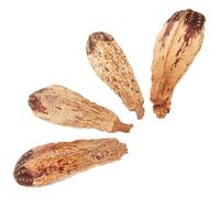 Kisangel 4pcs Natural Parrot Chew for Small Birds Foraging Bird to Boredom Healthy Bite Companion for Parakeet Cockatiel Unique Shapes and Simple Colors