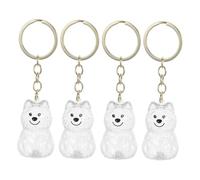 Kisangel 4pcs Transparent Dog Hair Keepsake Keychain Portable Pet Hair Storage Pendants for Travel and Everyday Carry Compact Memorial Capsule Box