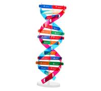 Kisangel 5pcs DIY Human Genes Dna Model Educational Biological Teaching Aid Double Helix Display Stand Science Learning for Students Classroom Use