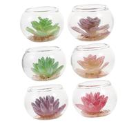 Kisangel 6pcs Miniature Potted Plant for Dollhouse Decoration Realistic Succulents Water Lilies for Micro Landscape Tiny House Miniatures Glass Material Easy to Clean
