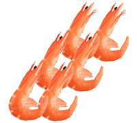 Kisangel 6pcs Realistic Shrimp Models PVC Material Artificial Food Simulation Shrimp Decorations Educational for Biological Cognition Learning