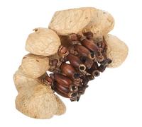Kisangel African Tribal Style Nut Shells Bracelet Handbell Musical Instrument Lightweight Portable Percussion Shaker Wristband for Dance Yoga Outdoor Fun Natural Resonant Sound Accessory