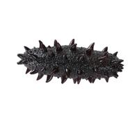 Kisangel Artificial Sea Cucumber Model Realistic Simulation Seafood Decor for Kitchen Party Display Material Lovely Design for Indoor Outdoor Use