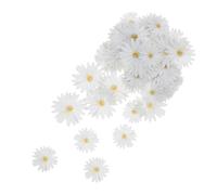 Kisangel Cake Decorations Easy to Clean 1 Box Paper Cupcake Toppers White Daisy with Delicate Floral Design, Fit Standard Sized Cupcakes for Bridal Party and Wedding Celebrations
