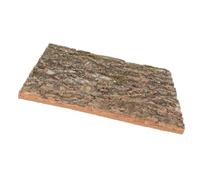 Kisangel Cork Terrarium Background Natural Reptile Vine Bark Board for Aquarium Décor