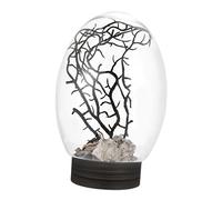 Kisangel Desktop Bottle Small Fish Tank Aquarium Circular Edges Scratch-resistant Easy to Clean