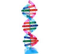 Kisangel DNA Molecular Model Kit: Scientific Teaching Prop - Chemistry & Biology Education Supply - Gene Exploration Tool For Students Learning