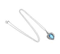 Kisangel Heart Shaped Stainless Steel Pet Ashes Pendant Necklace Openable Keepsake Urn Jewelry for Emotional Connection Memorial Cremation for Cat Dog Loss