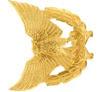 Kisangel Metal Badge Pin with Polished Finish and Intricate Eagle Shape for Security Uniforms and Personal Style Accessories