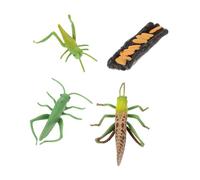 Kisangel Model Imitation Life Cycle Educational Toys Bug Toys Beasts Eyfs Boys and Girls